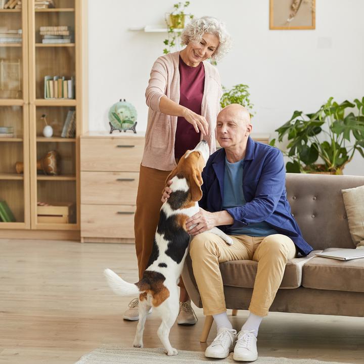 Produktbild Relaxdays Tellerständer