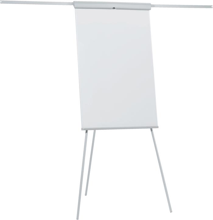 Franken Linea Standard Plus (70 x 110 cm)