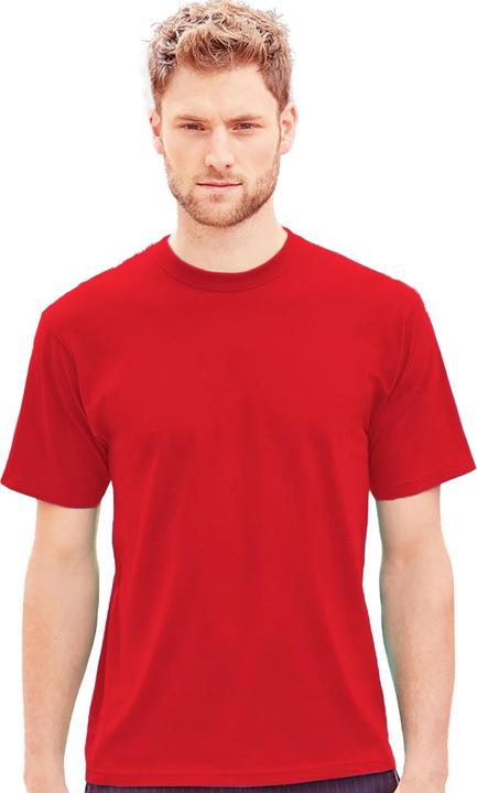 Actual product image Jerzees Russell Colours Classic Tshirt (L)