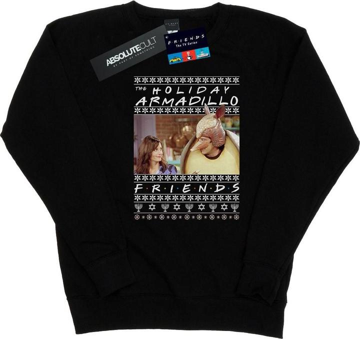 Actual product image Friends Womens/Ladies Fair Isle Holiday Armadillo Sweatshirt (L)