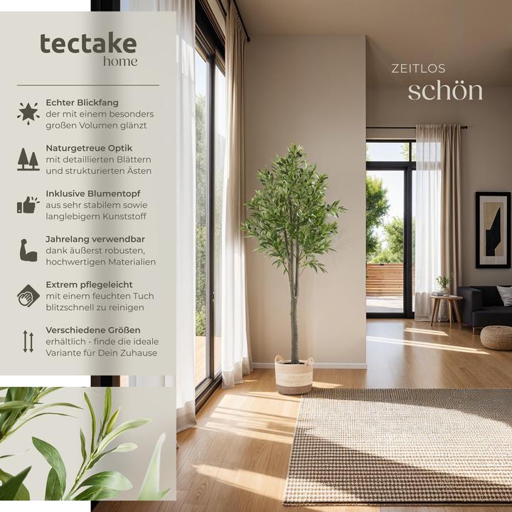 Immagine prodotto tectake Olivenbaum Oleand (150 cm)