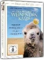Image du produit L'histoire du chameau en pleurs (DVD, 2003, Mongol, Allemand)