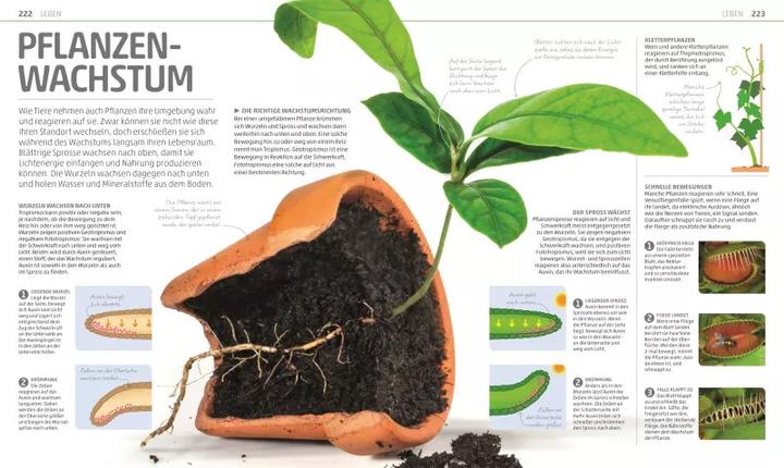 Produktbild Mega-Wissen. Natur & Technik (Deutsch, Birgit Reit, 2020)