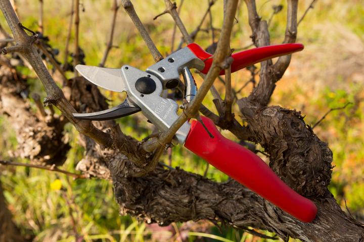 Produktbild Felco Gartenschere