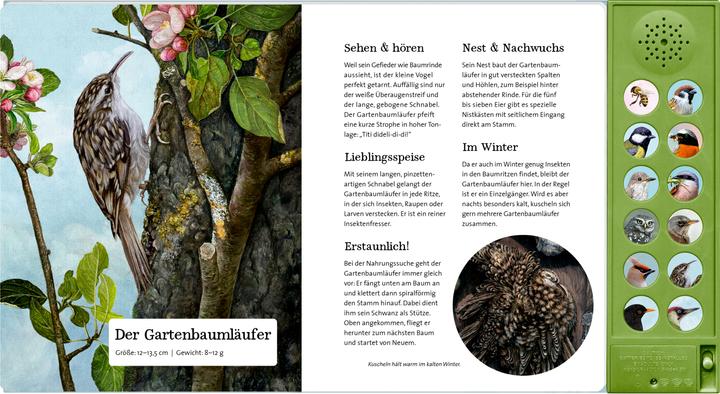 Produktbild Was singt und summt im Apfelbaum? (Deutsch, Holger Haag, Lars Baus, 2025)
