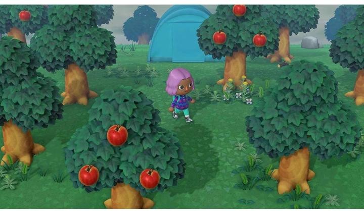 Actual product image Nintendo Animal Crossing: New Horizons (Switch, Multilingual)