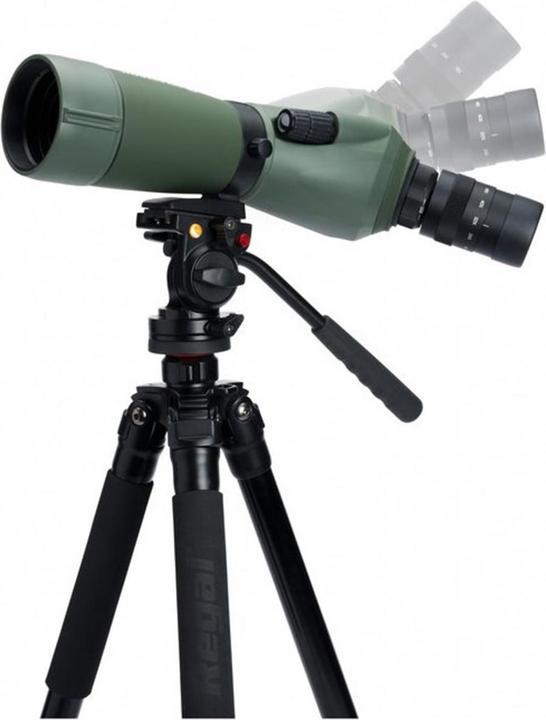 Immagine prodotto Celestron Regal M2 65ED (48 x, 65 mm)