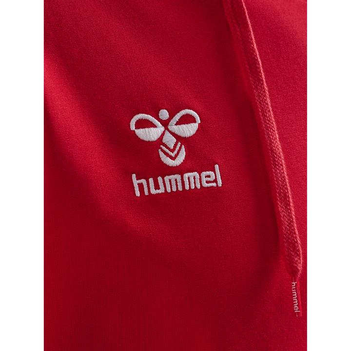 Actual product image hummel HMLGO 2.0 HOODIE (XL)