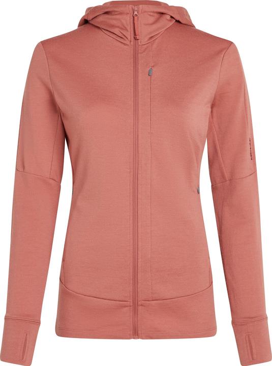 Actual product image Icebreaker Women's Merino 260 Quantum IV L/S Zip Hoodie (XS)