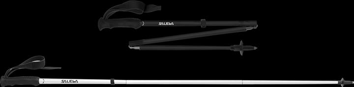 Actual product image Salewa Pedroc Carbonium (115 - 140 cm)