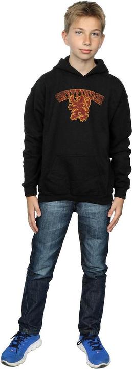 Actual product image Boys Gryffindor Sport Emblem Hoodie (140, 146)
