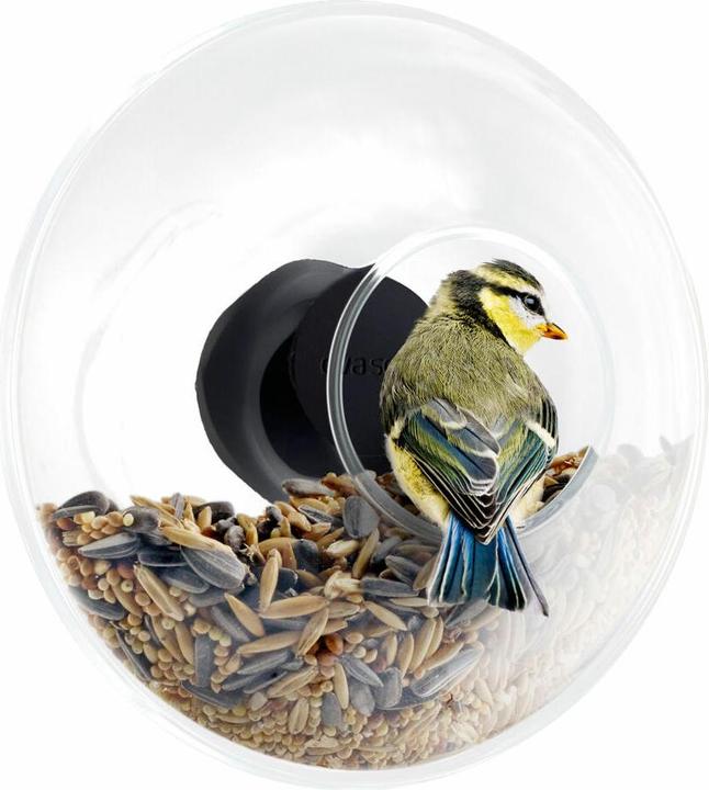 Actual product image Eva Solo Window feed ball
