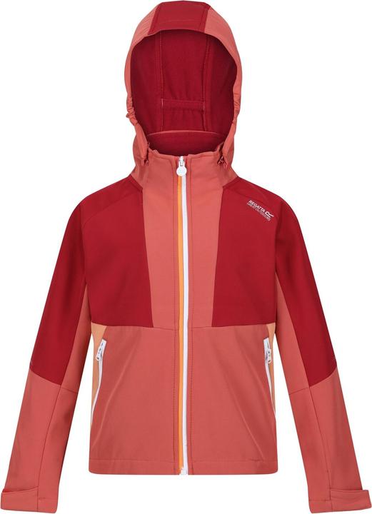 Produktbild Regatta Haydenbury Softshelljacke (116)