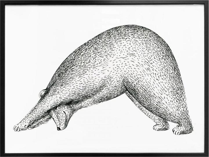Immagine prodotto Trenddeko Orso Yoga 01 (60 x 50 cm)