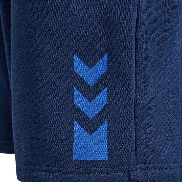 Immagine prodotto hummel pantaloncini hmlACTIVE uomo (S)