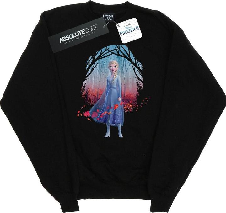 Disney Frozen 2 Elsa Find The Way Sweatshirt (L)