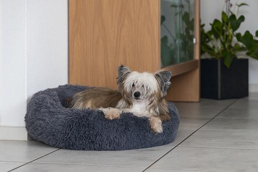 Actual product image Karlie Agnes (Dog)