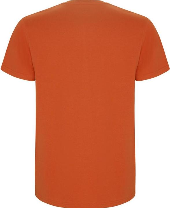Actual product image Alpinia Mens Stafford T-Shirt (L)
