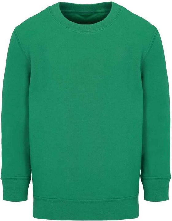 Actual product image Sols Childrens/Kids Columbia Sweatshirt (152)