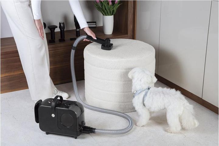 Produktbild BerlingerHaus Haus Staubsauger Pet Black Rose Collection