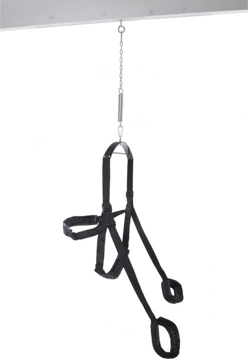 Actual product image Pipedream Fantasy Swing