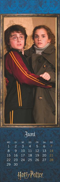 Actual product image Harry Potter Lesezeichen & Kalender 2026 (6 x 18 cm, Hardcover, German)