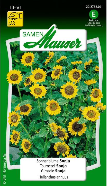 Girasole Sonja (Semi di piante)