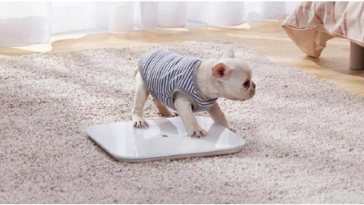 Produktbild Xiaomi Mi Smart Scale 2 (150 kg)