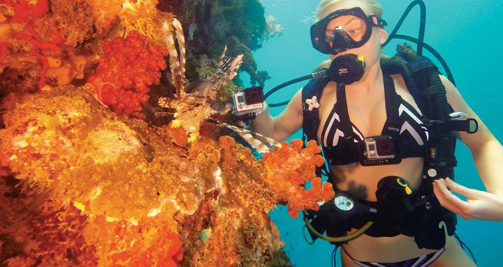 Image du produit GoPro Tauchfilter (Logement en panne, Logement standard)
