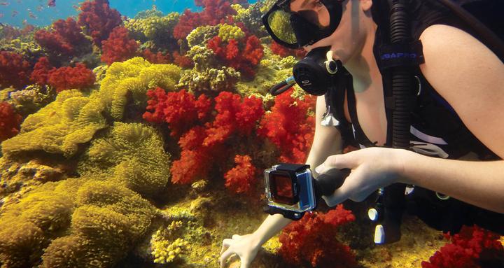 Immagine prodotto GoPro Red Dive Filter für Standard- und Blackout-Gehäuse (GoPro Hero 3/3+/4)