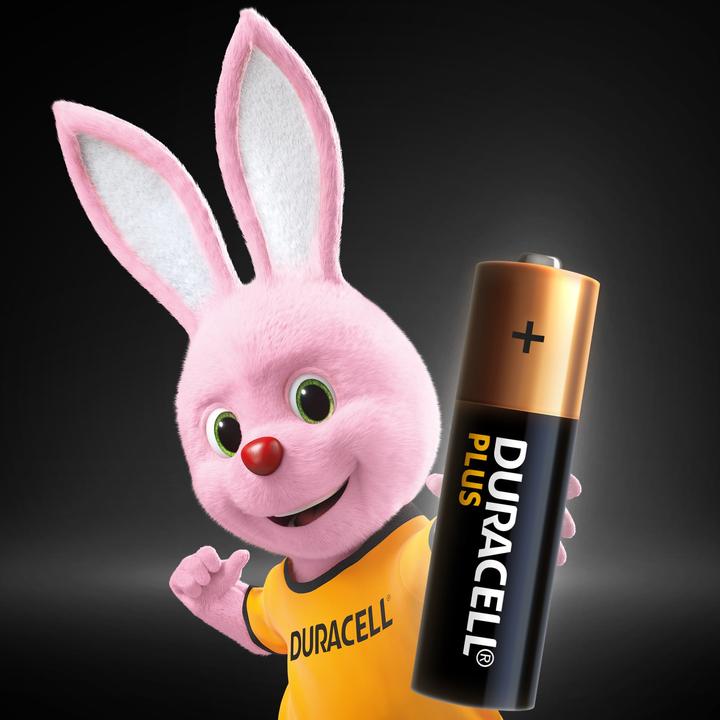 Actual product image Duracell Plus (4 pcs., AA, 2600 mAh)