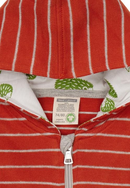Actual product image loud + proud Jacket striped (110)