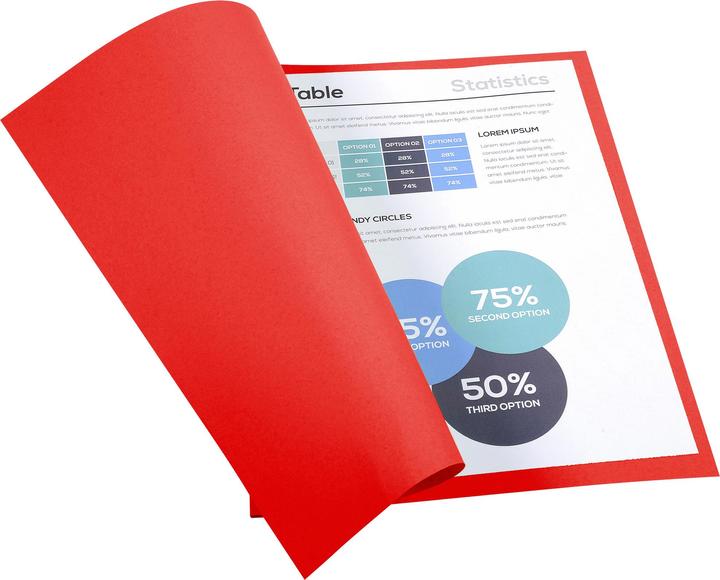 Actual product image Exacompta Collection folders - File covers (24 x 32 cm, 50 x)