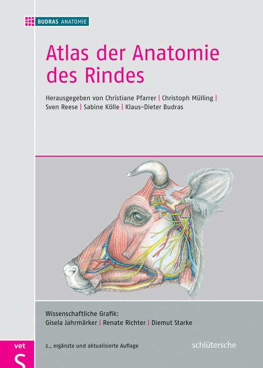 Produktbild Atlas der Anatomie des Rindes (Deutsch, Sabine Kölle, Christoph K. W. Mülling, Sven Reese, Christiane Pfarrer, Klaus-Dieter Budras, Christoph/Reese, KWMülling, 2017)