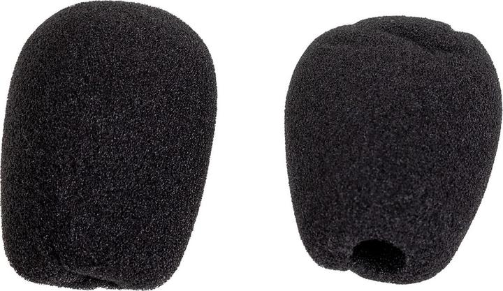 Image du produit Sena 10S (Lot de 1)