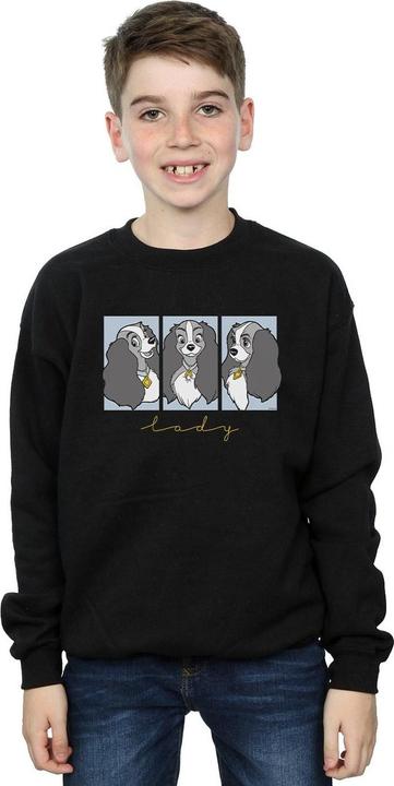 Produktbild Disney Lady And The Tramp Lady Frames Sweatshirt Jungen (152, 158)