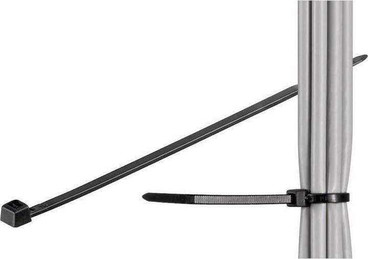 Actual product image Techly 306509 Nylon cable ties 28 (280 mm, 100 pcs.)
