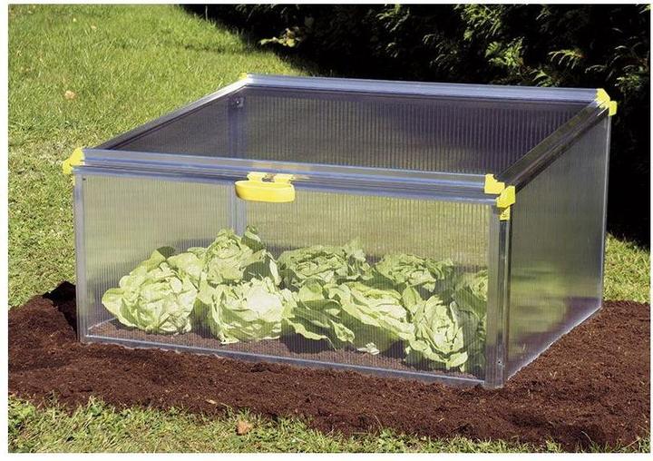 Actual product image Juwel Biostar Protect
