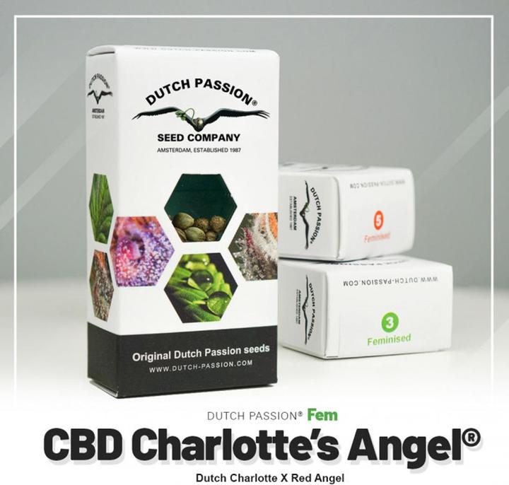 Immagine prodotto Dutch Passion CBG Charlottes Angels Femminilizzata 3 pz. (15.80 g)