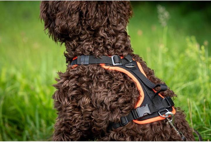 Produktbild Grossenbacher Geschirr Vary XS Orange (XS, Hund, Allgemein)