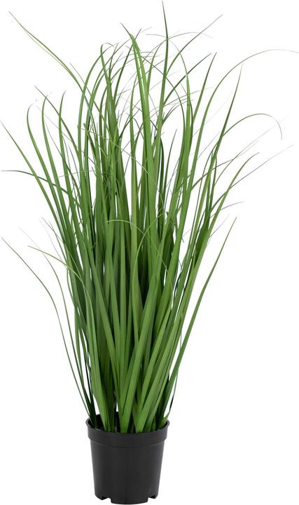 House Nordic Poa (68 cm)