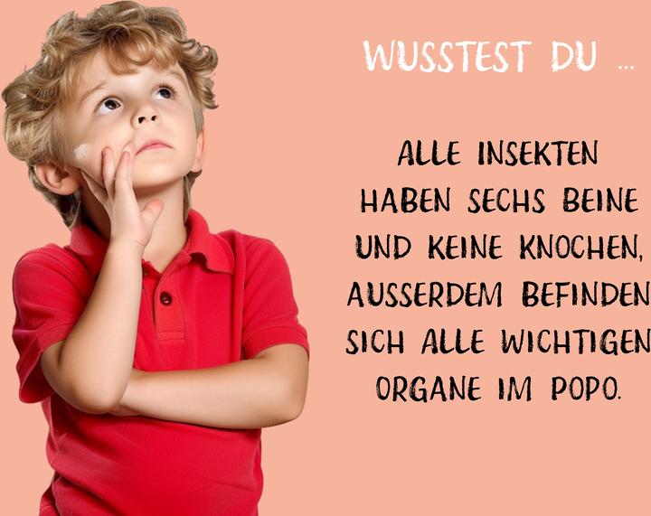 Immagine prodotto Die dicke Hummel Doris (Tedesco, Uwe Krauser, 2024)