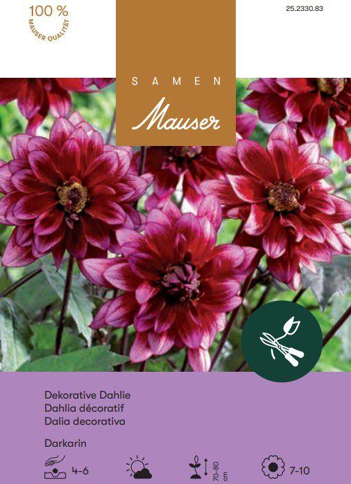 Image du produit Samen Mauser Dahlia décoratif Darkarin