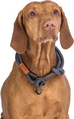 Immagine prodotto Trixie BE NORDIC Collare ferma-treno (XS, Cane, Sport cane)