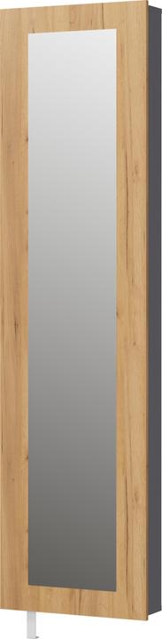Produktbild Germania Drehschuhschrank