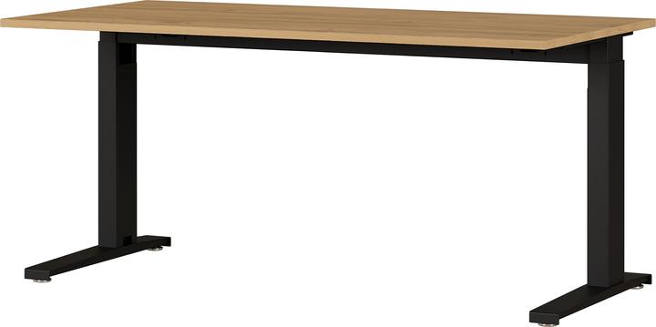 Germania Agenda (160 x 68 cm)