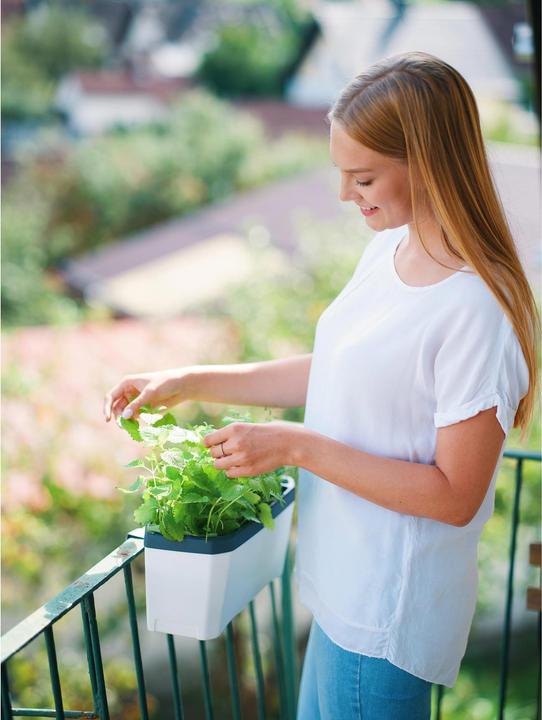 Actual product image Gusta Garden Kräutertopf HARRY HERBS mit Haube, Weiss (35.80 cm)