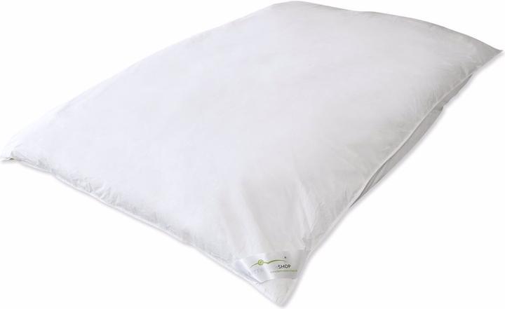 Image du produit Traumschlaf Ballon (3000 g, 155 x 220 cm)