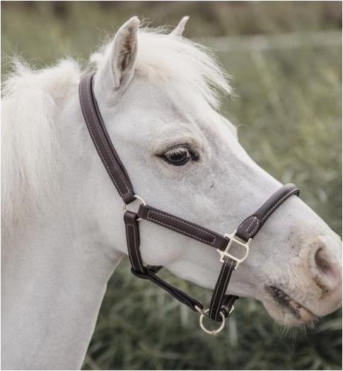 Produktbild Kentucky Horsewear Pony Lederhalfter