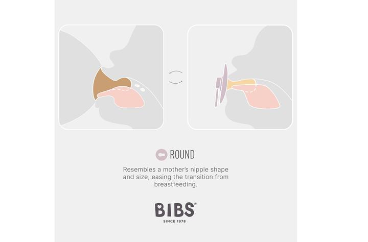 Produktbild Bibs Flaschensauger Silicone Fast Flow 2 Stück